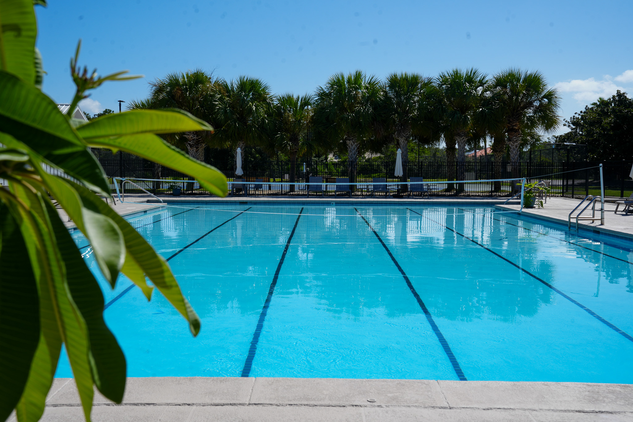Ono Island Amenities Swimming Pool
